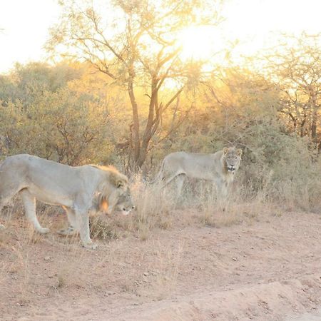 Kwalata Game Lodge Klipdrift Bagian luar foto