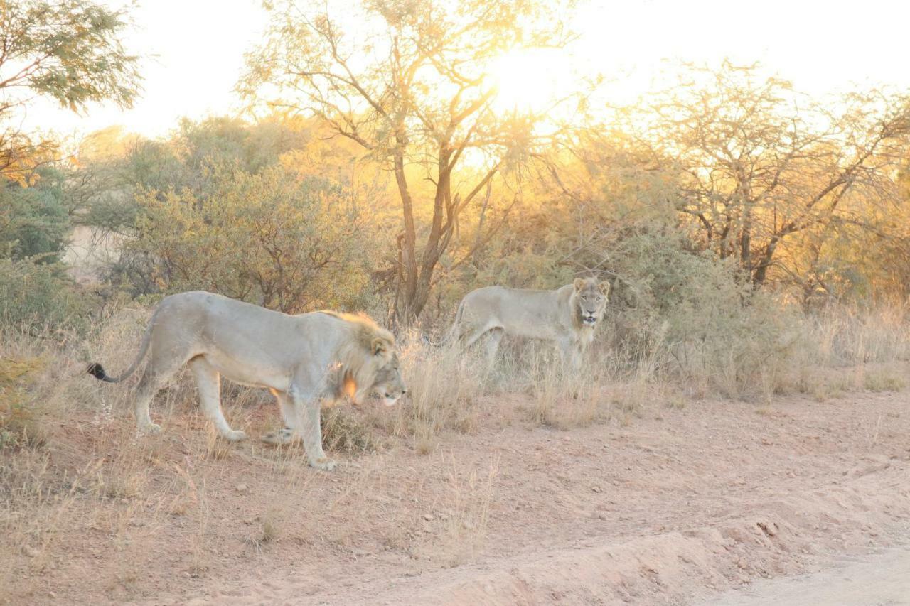 Kwalata Game Lodge Klipdrift Bagian luar foto
